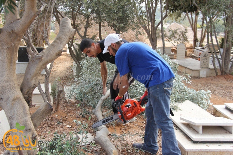 tasoooi3i1412 (58).JPG